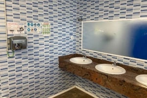 Alicante: Termas de Fortuna com transporte