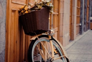 Alicante: Full Day City Bike Rental.