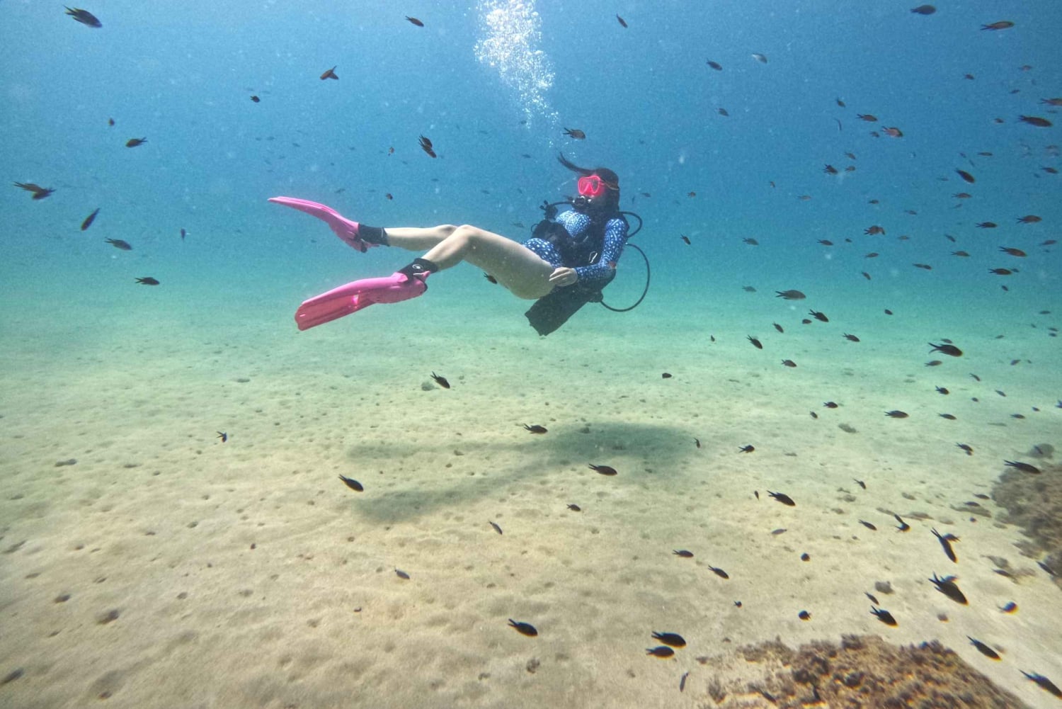 Аликанте: дайвинг-тур с гидом для сертифицированных дайверов