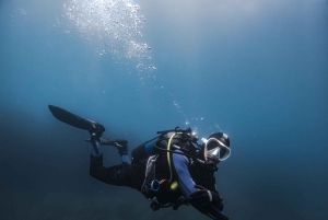 Аликанте: дайвинг-тур с гидом для сертифицированных дайверов