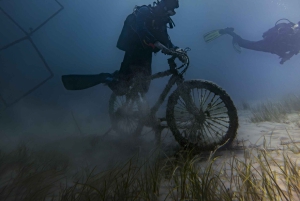 Аликанте: дайвинг-тур с гидом для сертифицированных дайверов