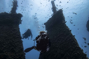 Аликанте: дайвинг-тур с гидом для сертифицированных дайверов