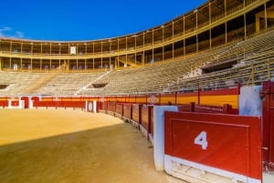 Alicante, guidad tur på Plaza de Toros Alicante, flamencoshow, tapa och dryck