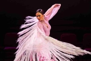 Alicante, guidad tur på Plaza de Toros Alicante, flamencoshow, tapa och dryck