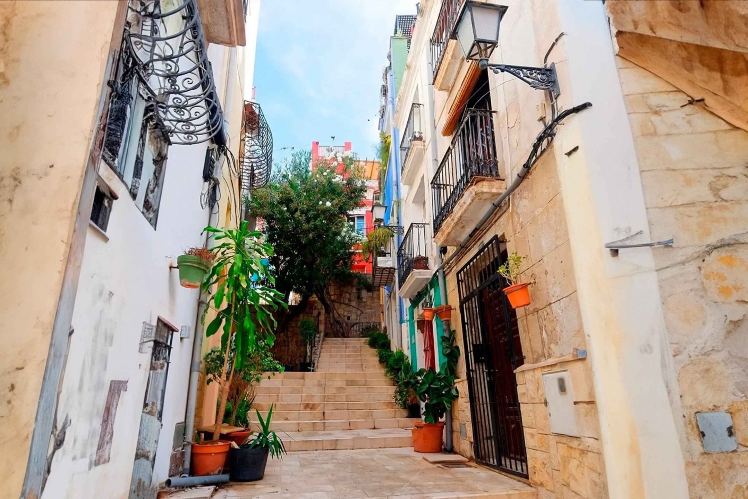 Alicante: Old town walking tour & paella show