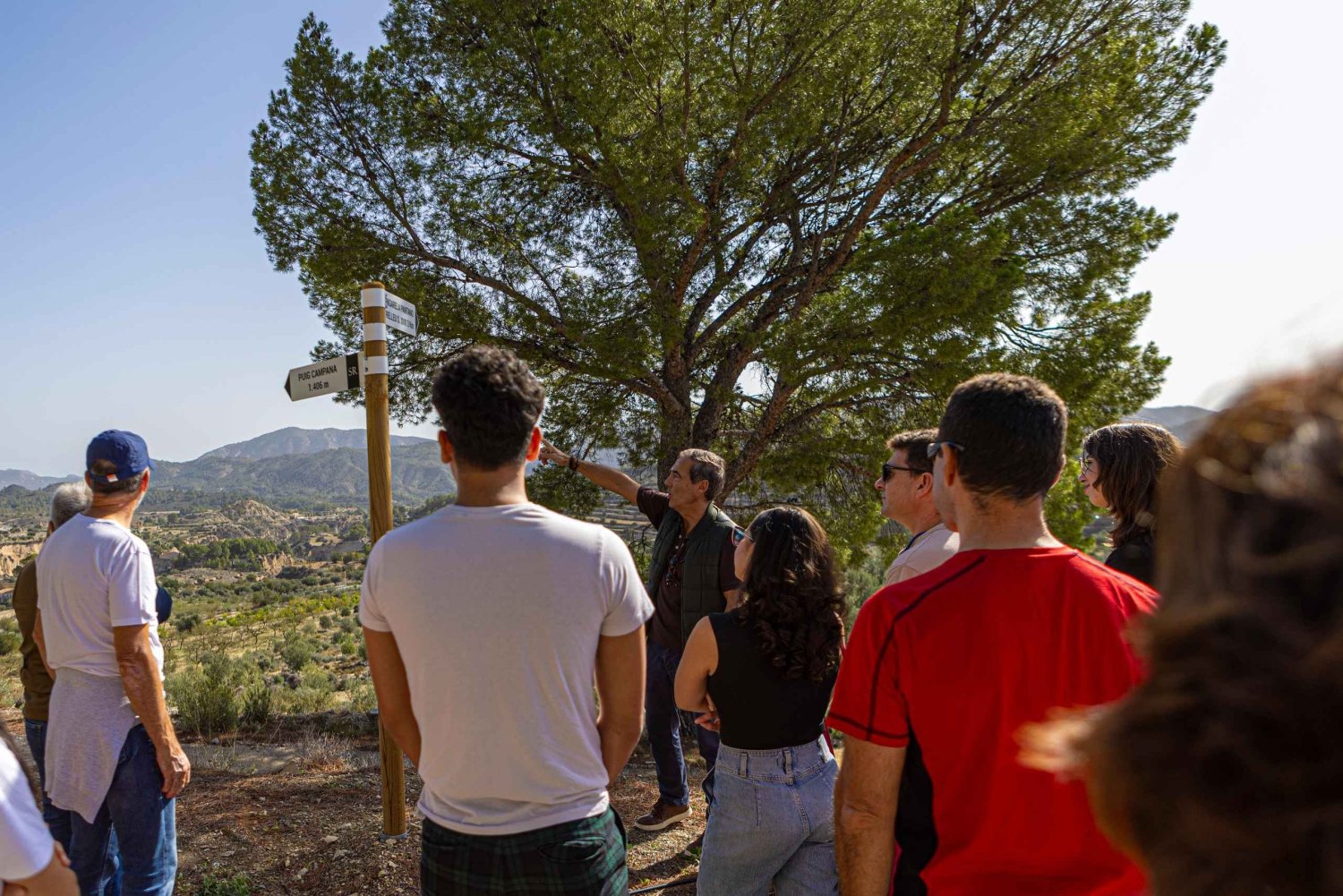 Alicante: olijfolietour met proeverij en picknick