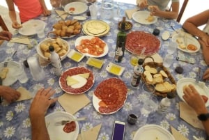 Alicante: olijfolietour met proeverij en picknick