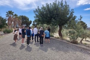Alicante: tour dell'olio d'oliva con degustazione e picnic