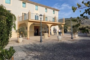Alicante: tour dell'olio d'oliva con degustazione e picnic