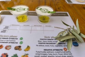 Alicante: tour dell'olio d'oliva con degustazione e picnic