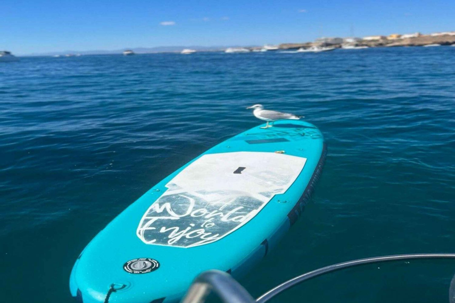 Alicante:Paddle Surfing