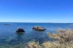 Alicante: Paddelsurfing