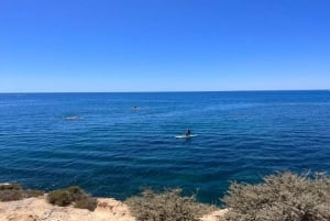 Alicante: Paddelsurfing