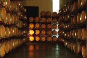 Alicante (Pinoso): Tour Experience Back from the Vineyard to the glass