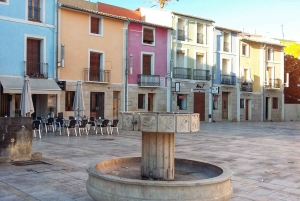 アリカンテ：ビーチと歴史を巡るプライベートバイクツアー