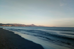 アリカンテ：ビーチと歴史を巡るプライベートバイクツアー