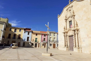 アリカンテ：ビーチと歴史を巡るプライベートバイクツアー