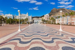 Alicante: Private custom tour with a local guide