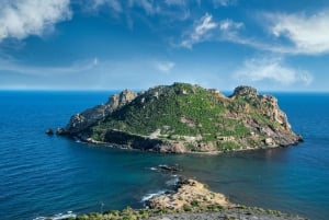 Alicante: Private geführte Tour mit Transport
