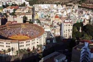 Alicante: Visita guiada privada a la Plaza de Toros y Museo de Alicante