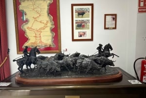 Alicante: Private geführte Besichtigung der Stierkampfarena und des Museums von Alicante