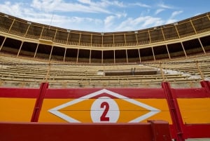 Alicante : visite guidée privée des arènes et du musée d'Alicante