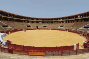 Alicante: Visita guiada particular à Praça de Touros e ao Museu de Alicante