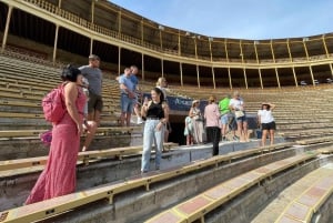 Alicante: visita guidata privata all'arena e al museo di Alicante