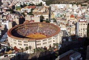 Alicante: Visita guiada privada a la Plaza de Toros y Museo de Alicante
