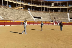 Alicante: Visita guiada privada a la Plaza de Toros y Museo de Alicante