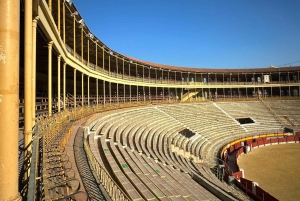 Alicante: Visita guiada privada a la Plaza de Toros y Museo de Alicante
