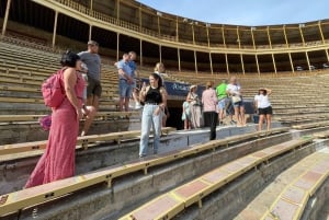 Alicante: Visita guiada privada a la Plaza de Toros y Museo de Alicante