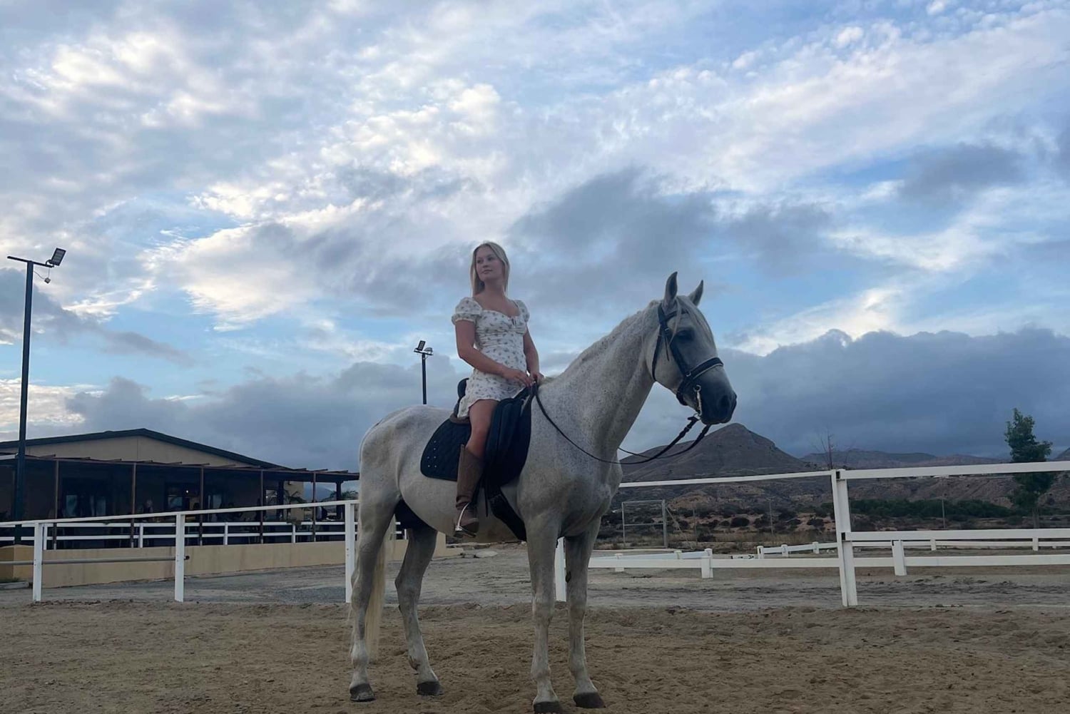 Alicante : promenade à cheval privée, brunch et prise en charge à l'hôtel
