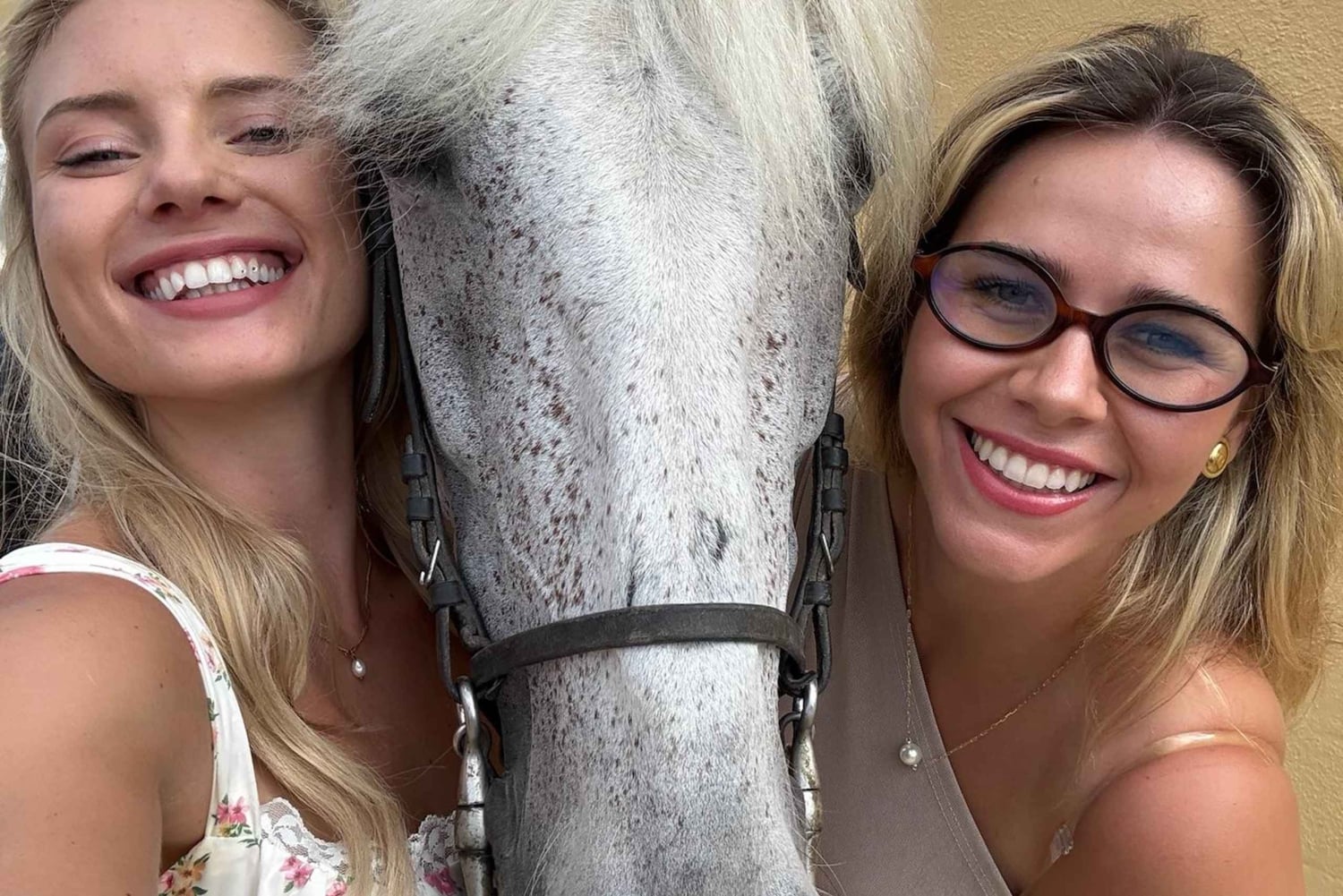 Alicante : promenade à cheval privée, brunch et prise en charge à l'hôtel