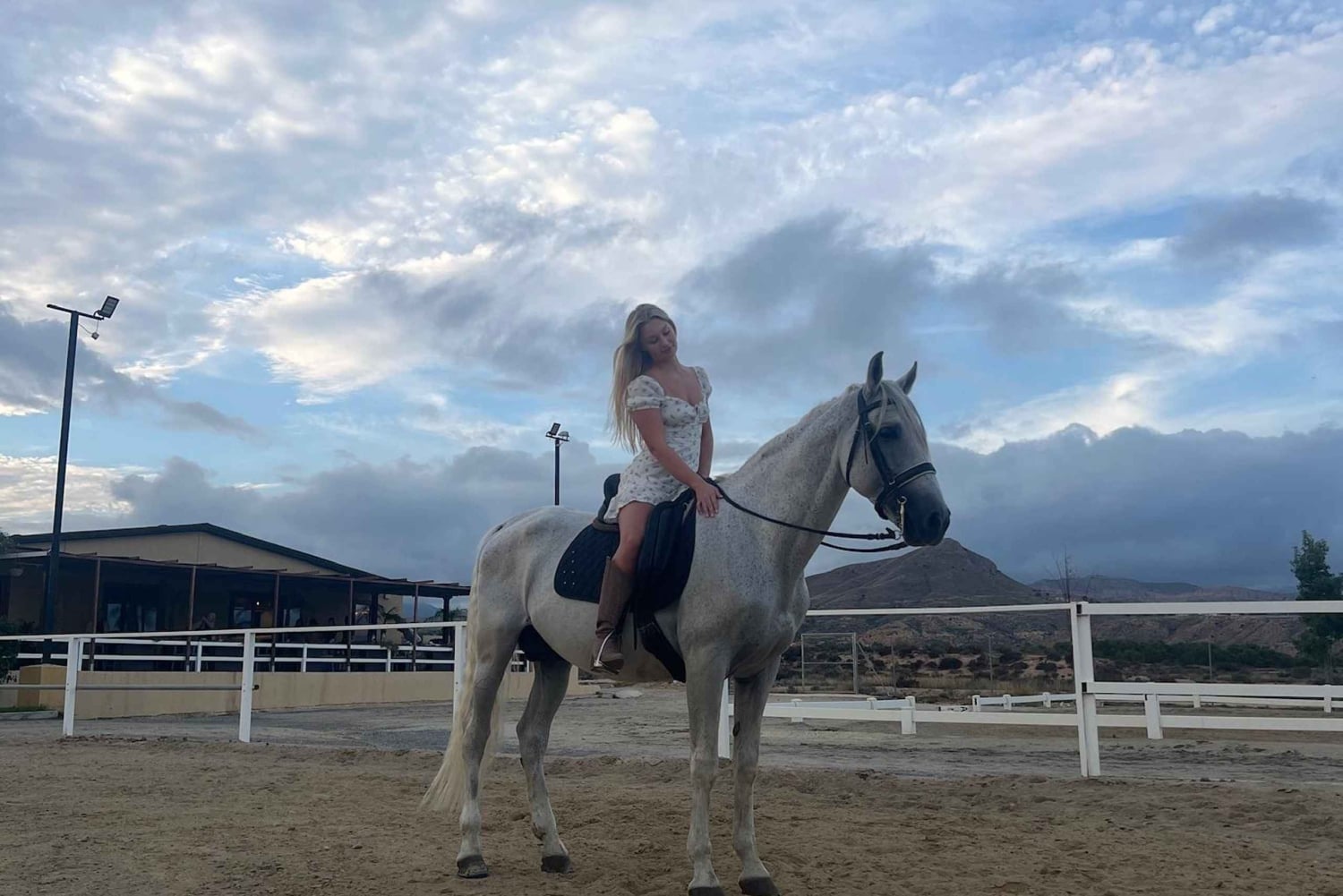 Alicante : promenade à cheval privée, brunch et prise en charge à l'hôtel