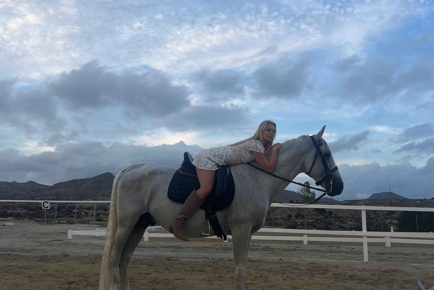 Alicante : promenade à cheval privée, brunch et prise en charge à l'hôtel