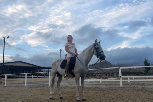 Alicante : promenade à cheval privée, brunch et prise en charge à l'hôtel