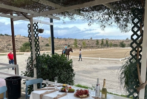 Alicante : promenade à cheval privée, brunch et prise en charge à l'hôtel