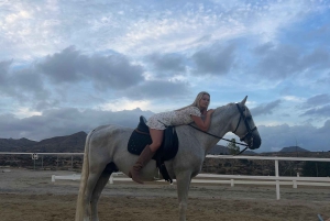 Alicante : promenade à cheval privée, brunch et prise en charge à l'hôtel