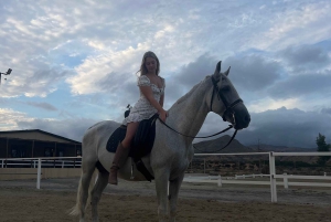 Alicante : promenade à cheval privée, brunch et prise en charge à l'hôtel