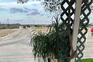 Alicante : promenade à cheval privée, brunch et prise en charge à l'hôtel