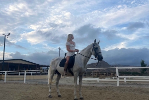 Alicante : promenade à cheval privée, brunch et prise en charge à l'hôtel