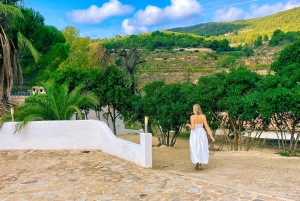 Alicante : promenade à cheval privée, brunch et prise en charge à l'hôtel