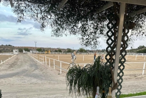 Alicante : promenade à cheval privée, brunch et prise en charge à l'hôtel