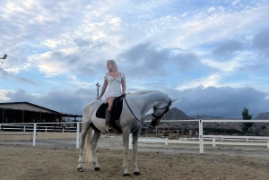 Alicante : promenade à cheval privée, brunch et prise en charge à l'hôtel