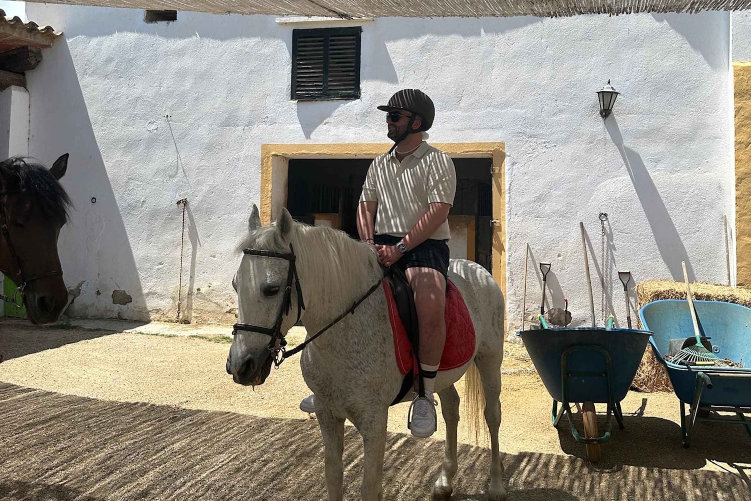 Alicante: Privater Ausritt & Picknick mit Transfer