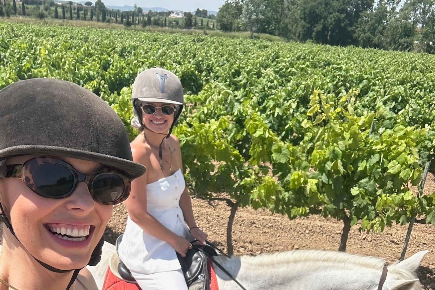 Alicante: Privater Ausritt & Picknick mit Transfer