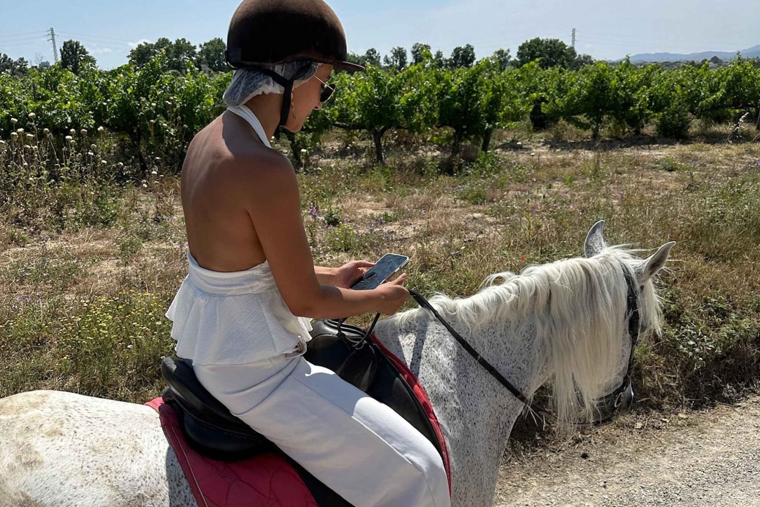 Alicante: Privater Ausritt & Picknick mit Transfer