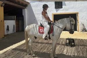 Alicante: Privater Ausritt & Picknick mit Transfer