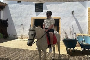 Alicante: Privater Ausritt & Picknick mit Transfer